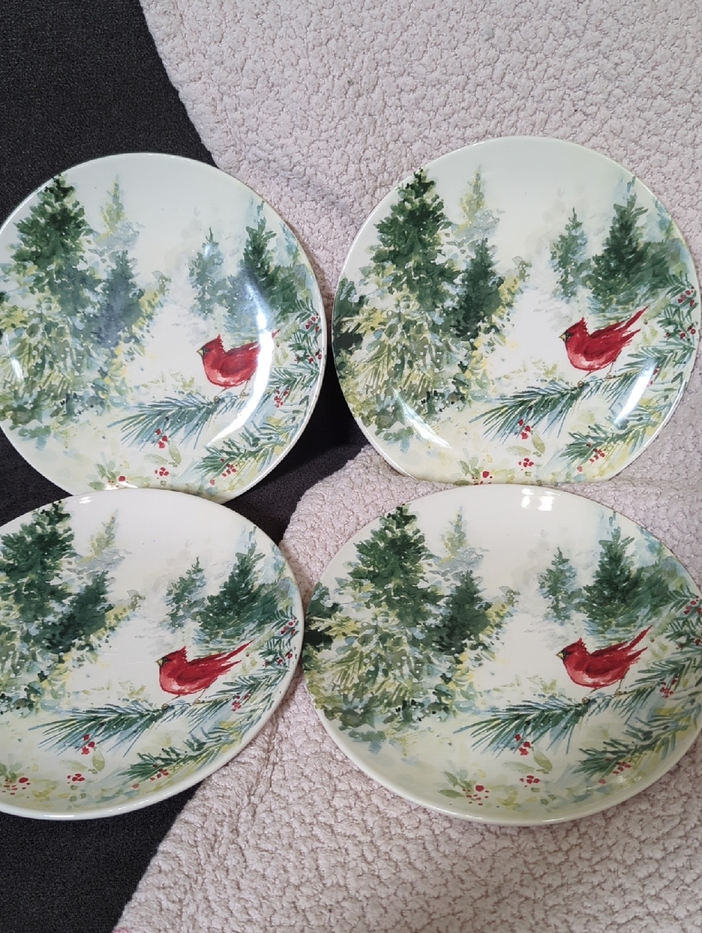Cracker Barrel Cardinal Winter Woodland Dinner Plates - Red & Green
